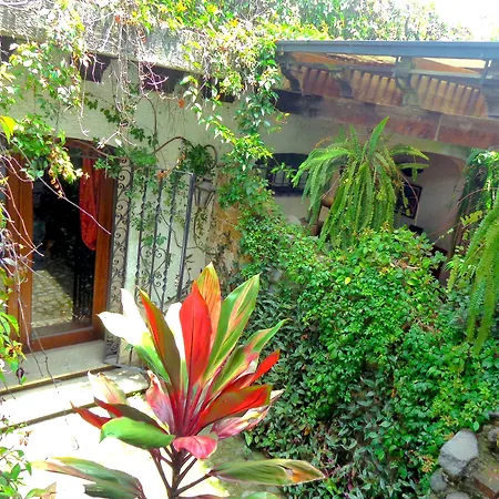 Cissus Hotel Boutique (Adults Only)-3